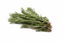 Rosemary - Click Image to Close